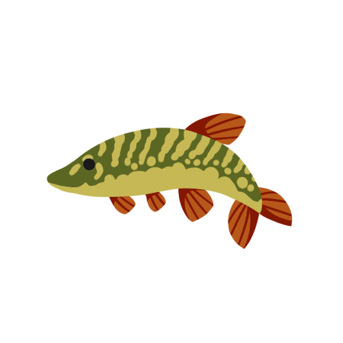 pike_small.png