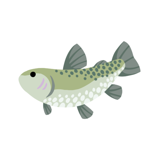 trout_small.png