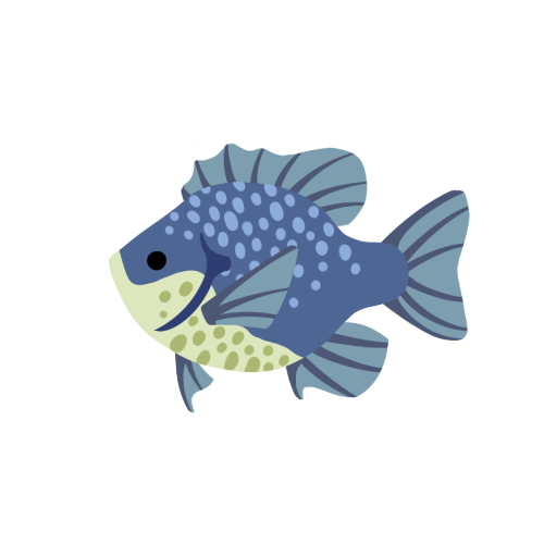 bluegill_small.png